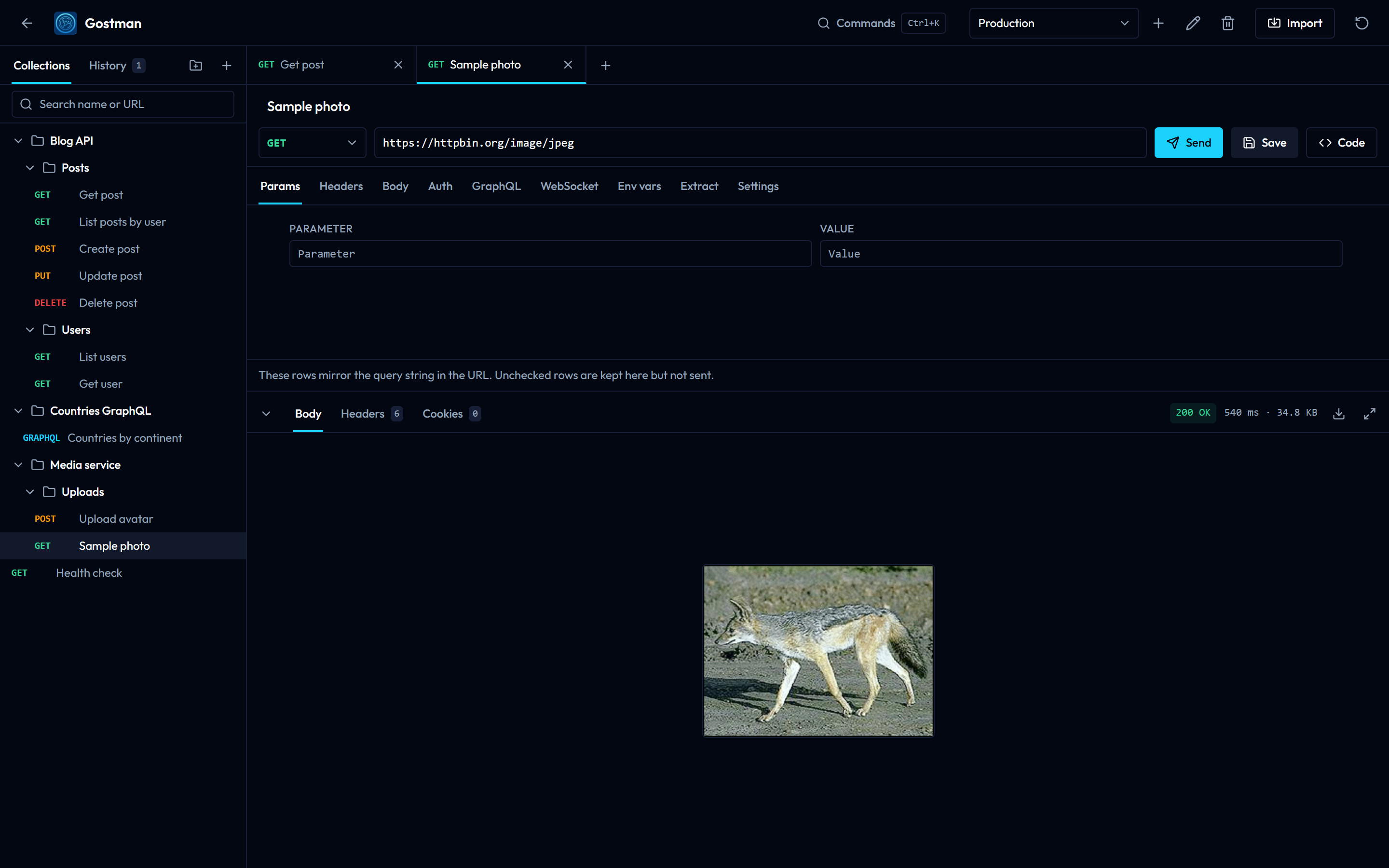 A JPEG response shown in the Body tab of the response panel